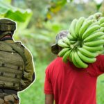 army-farming