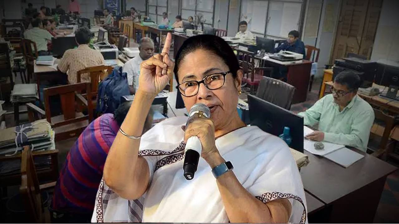 da-mamata-employee