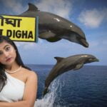 digha-dolphin