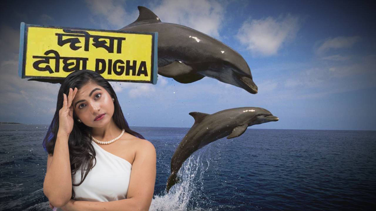 digha-dolphin