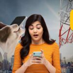 Bharat Sanchar Nigam Limited