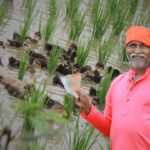 Duck Farming