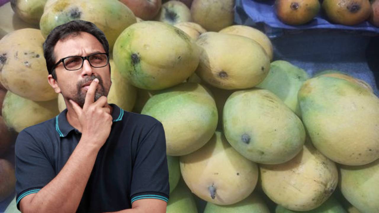 himsagar-mango