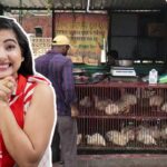 chicken price kolkata