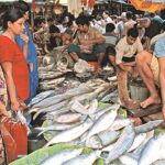 ilish fish ইলিশ