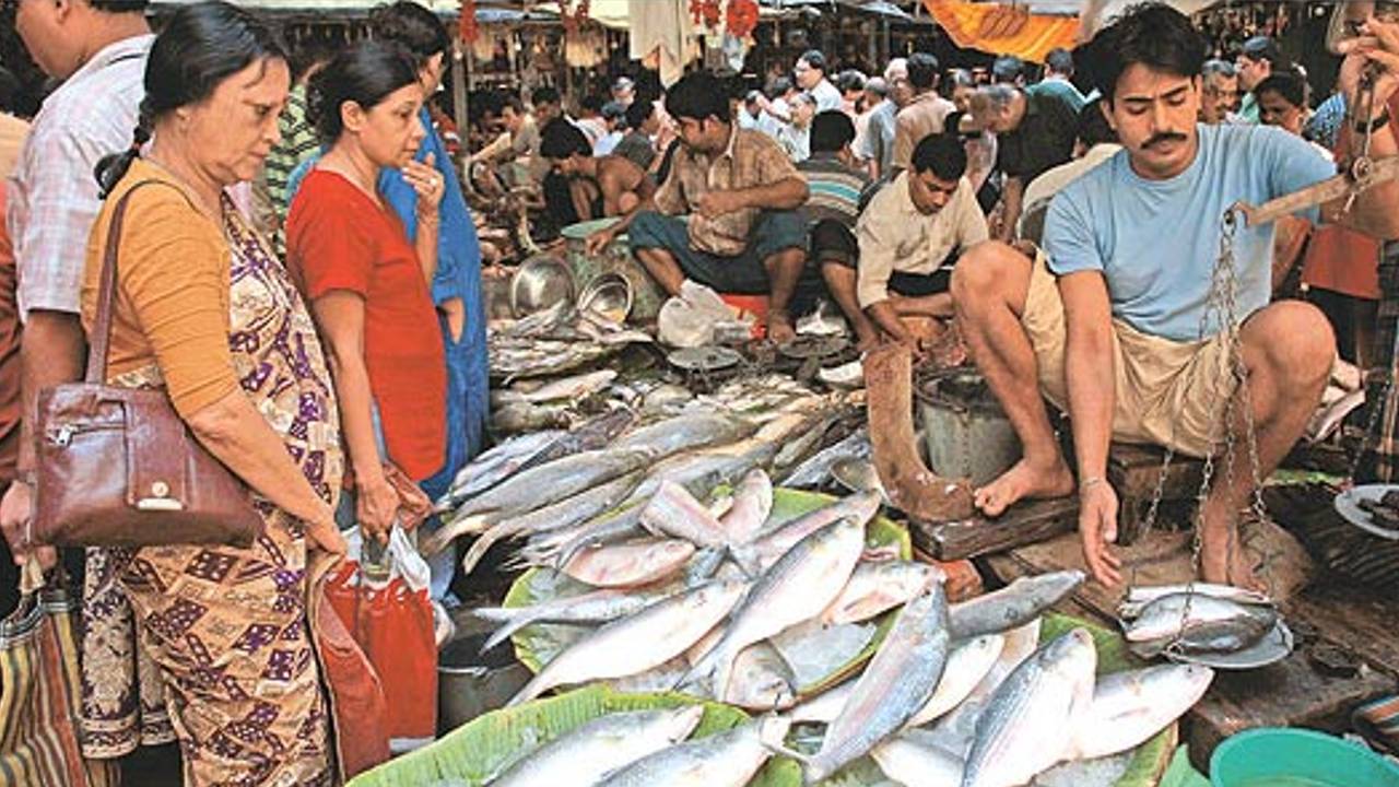 ilish fish ইলিশ