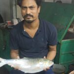 2 kg ilish