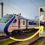 Viral video rail accident