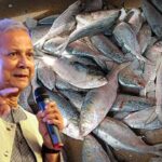 bangladesh ilish west bengal