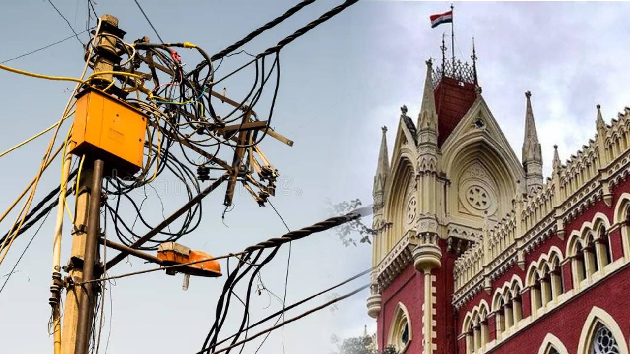 calcutta hc electricity