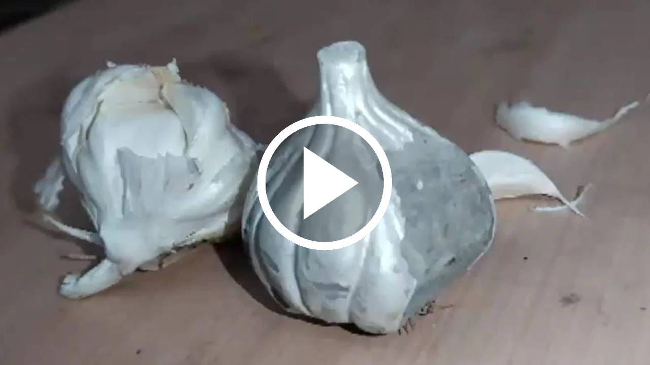 garlic made from cement