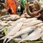 ilish, ইলিশ