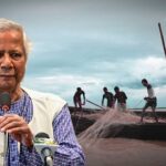 ilish bangladesh ইলিশ মাছ