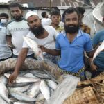 ilish in bangladesh
