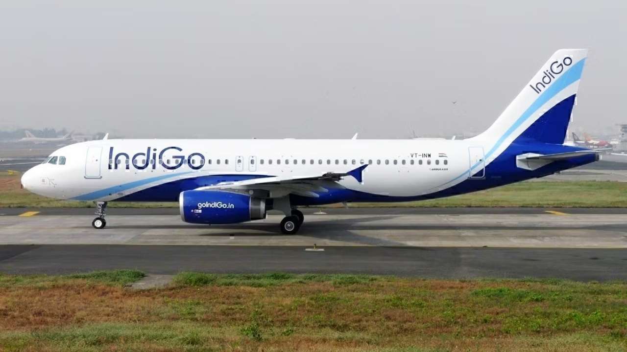 indigo flight