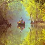 sundarbans travel