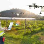 department of agriculture