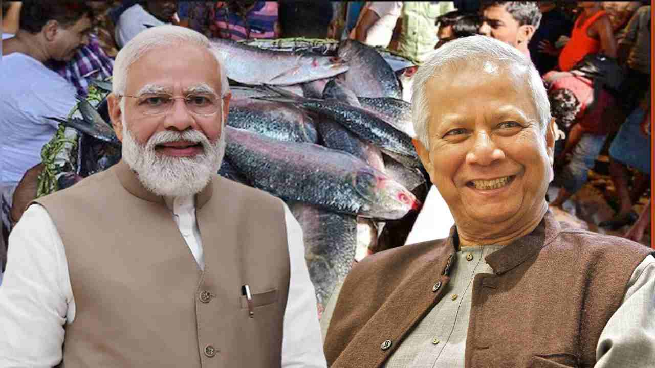 muhammad yunus modi ilish