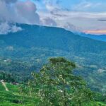 sherpa gaon, kalimpong