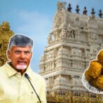 tirupati laddu controversy