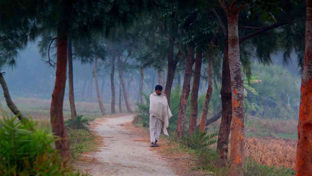 winter in south bengal