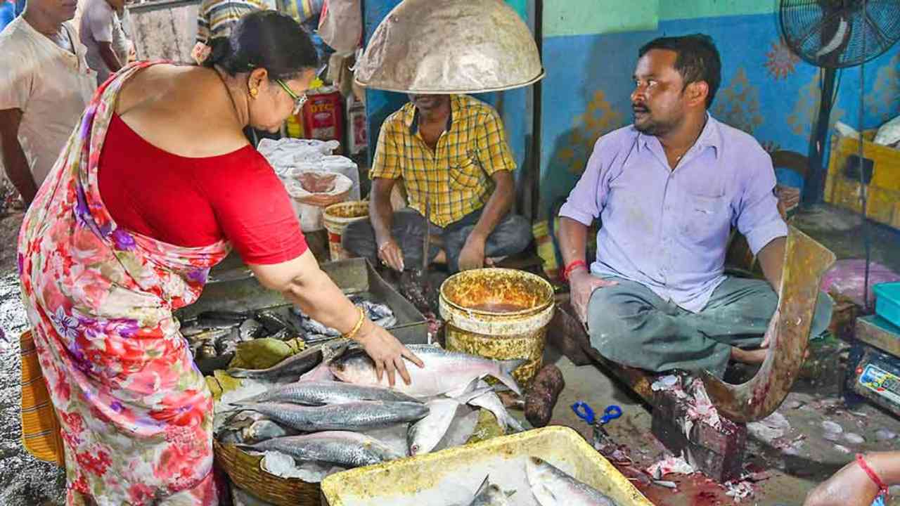 ganges ilish