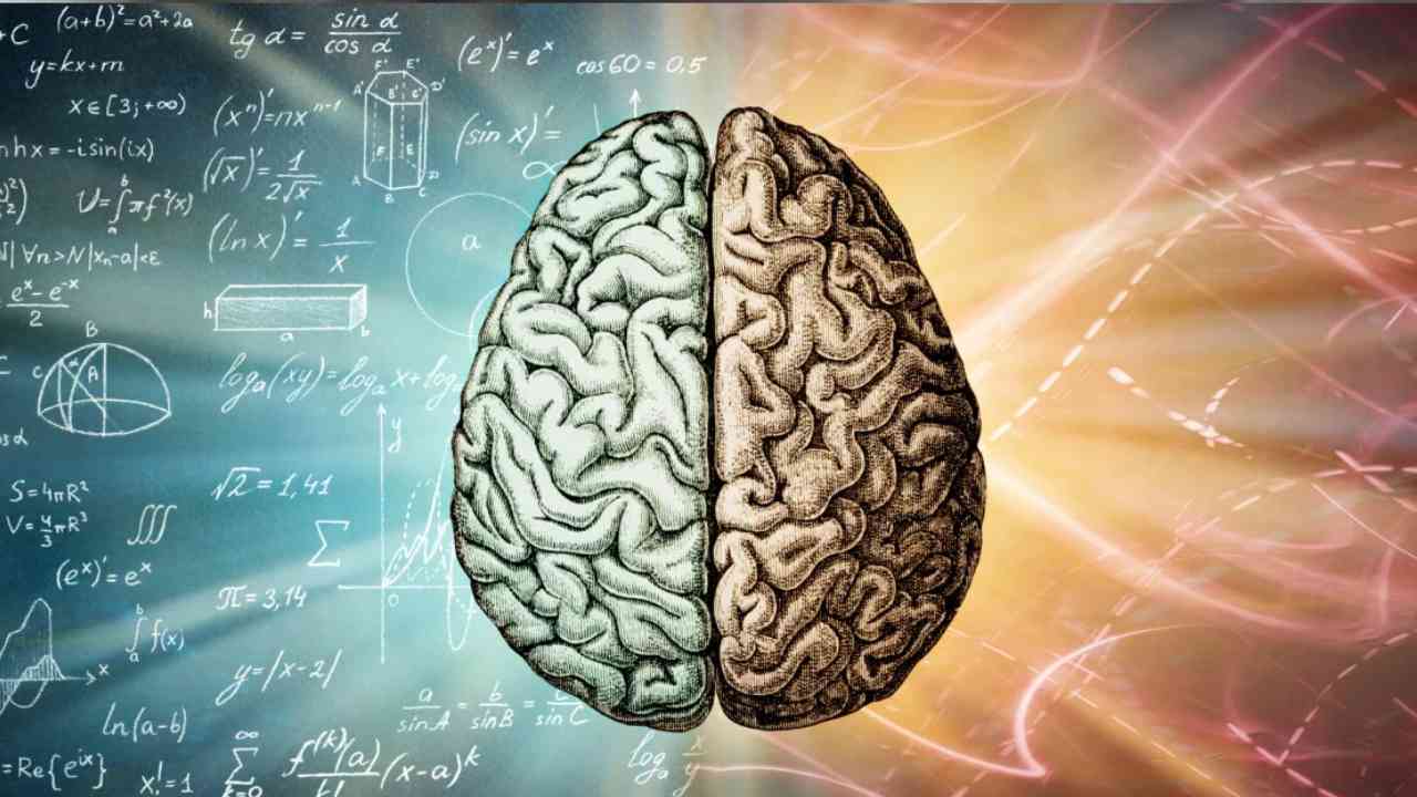 iq