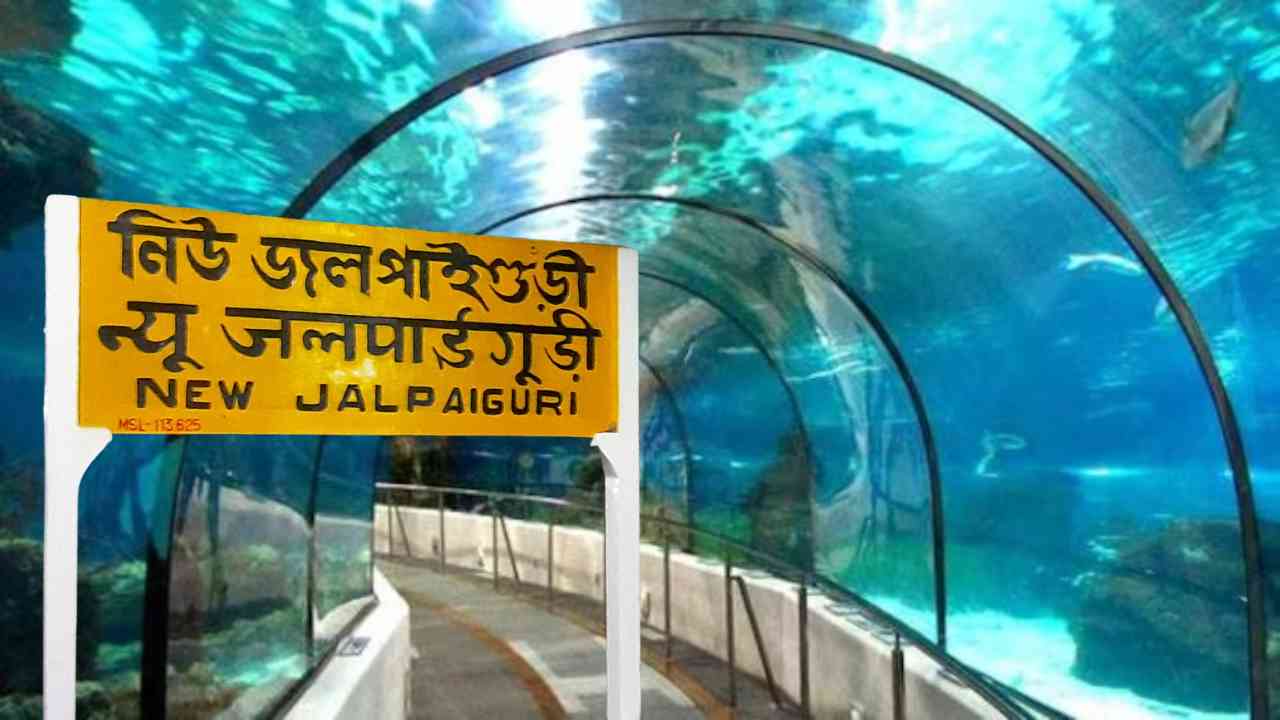 underwater metro