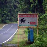 gorumara national park