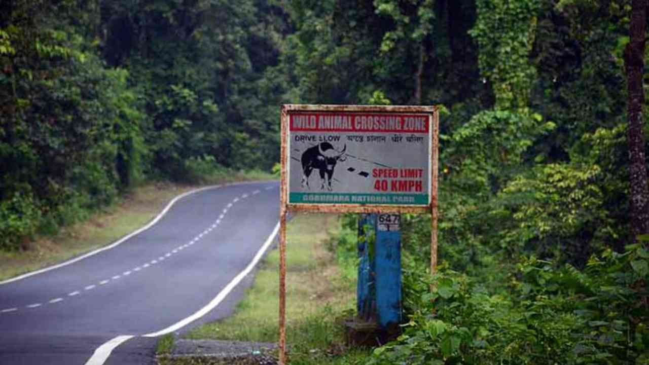 gorumara national park