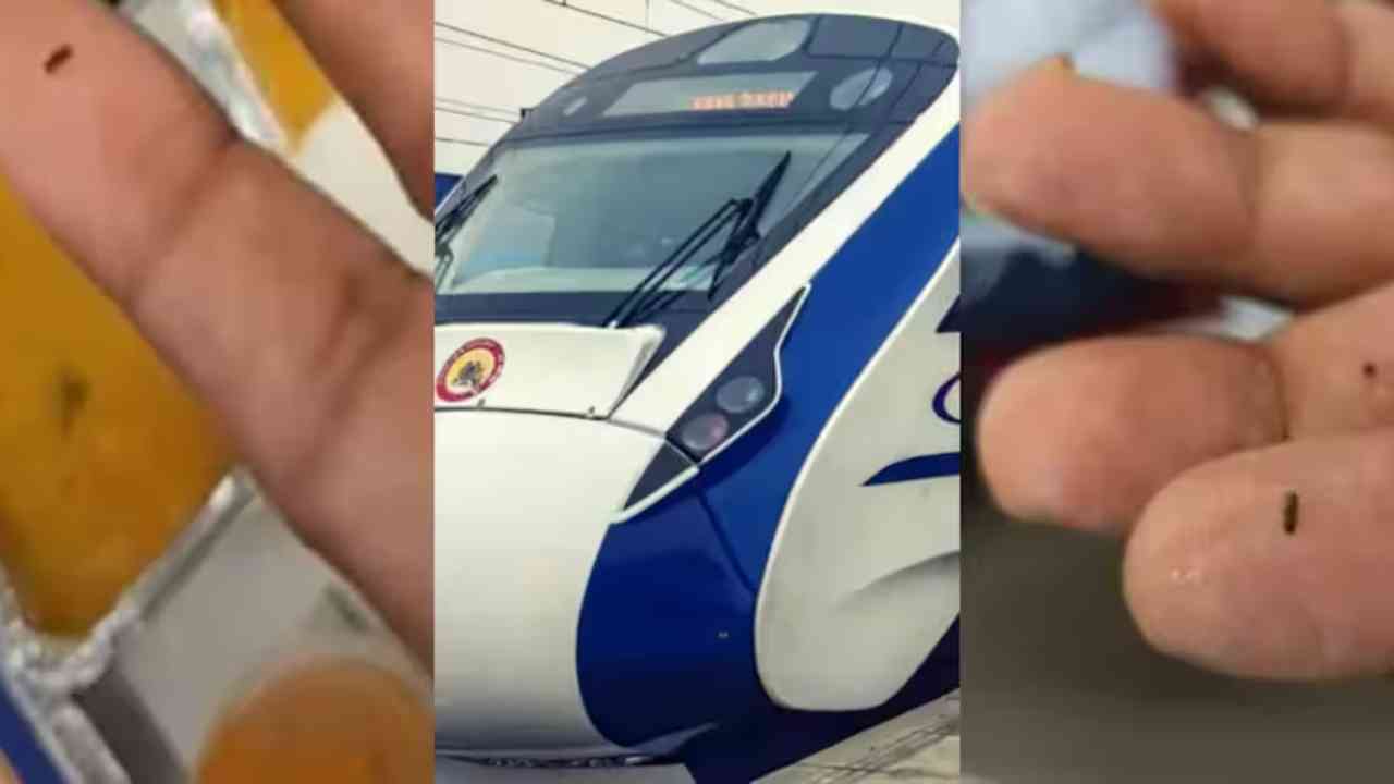 insects found in sambar on vande bharat express