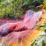 belpahari colorful hill