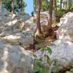 belpahari white hill