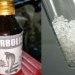 carbolic acid snake