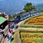 darjeeling toy train