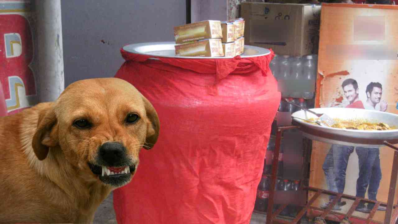 dog biryani