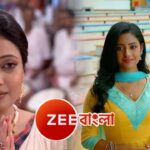 neem phooler madhu parineeta zee bangla