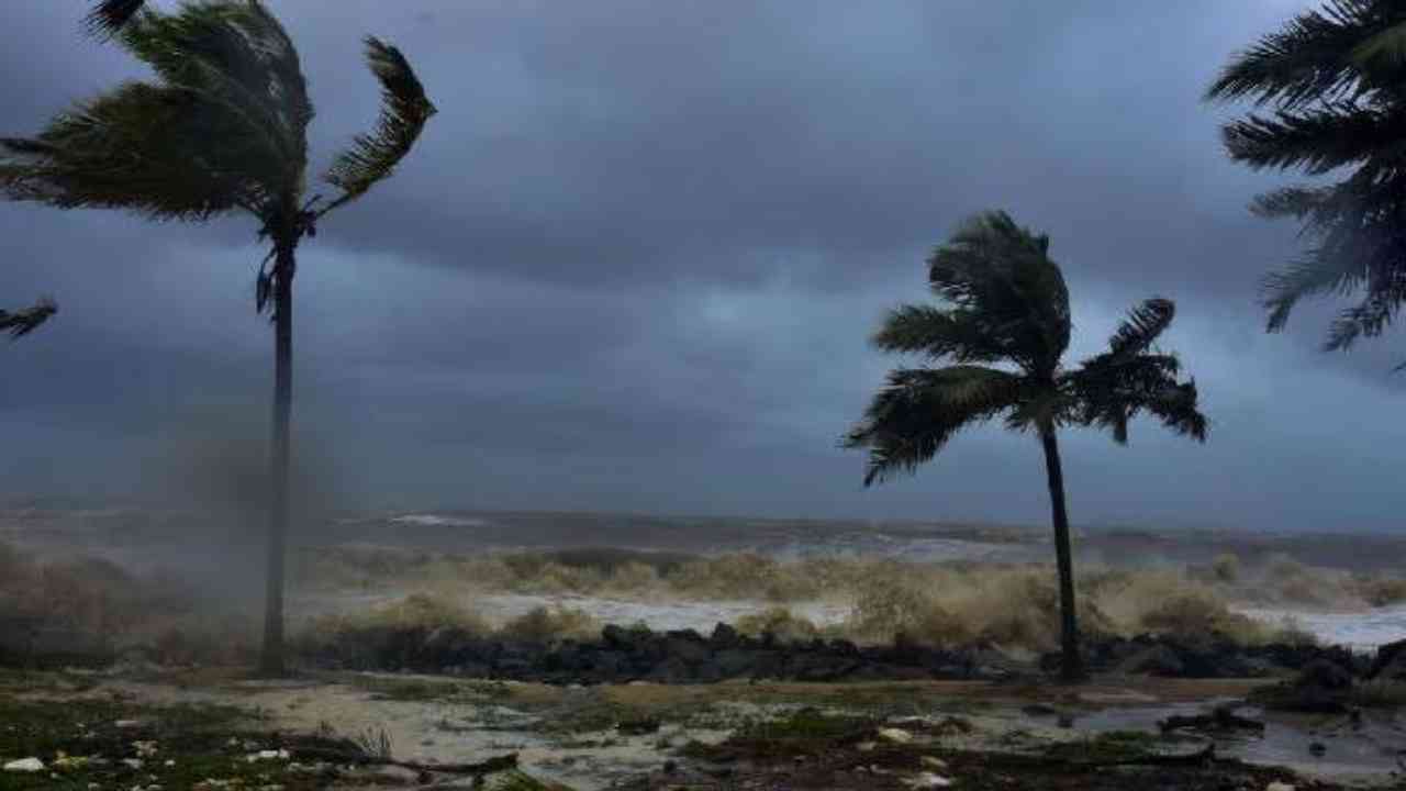 nimnochap south bengal weather