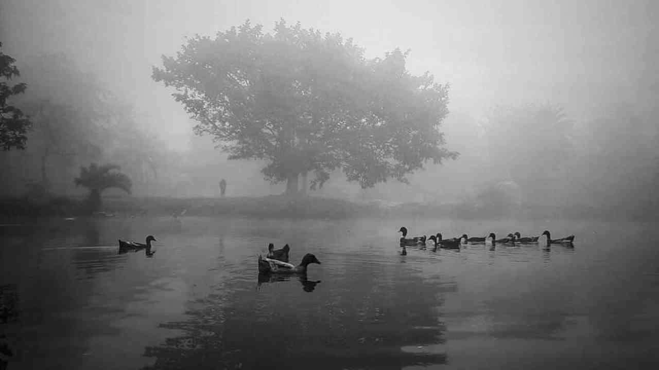 south bengal weather winter fog