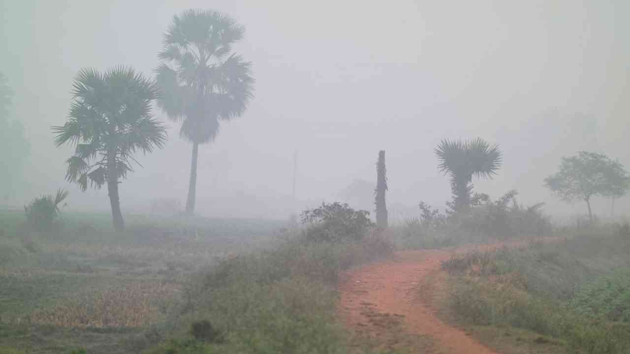 south bengal winter weather