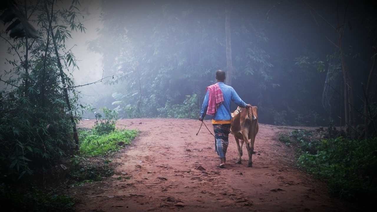 cold wave alert west bengal weather forecast