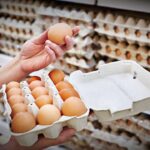 egg price hiked again see new rates