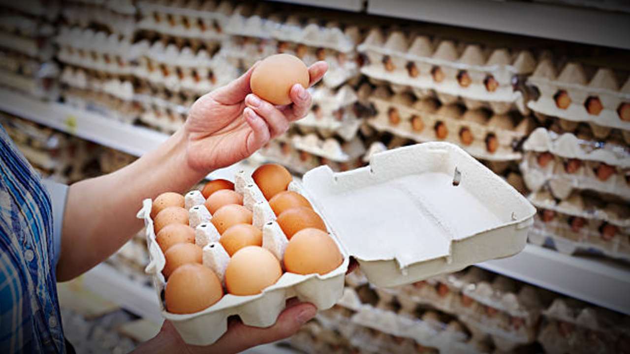 egg price hiked again see new rates