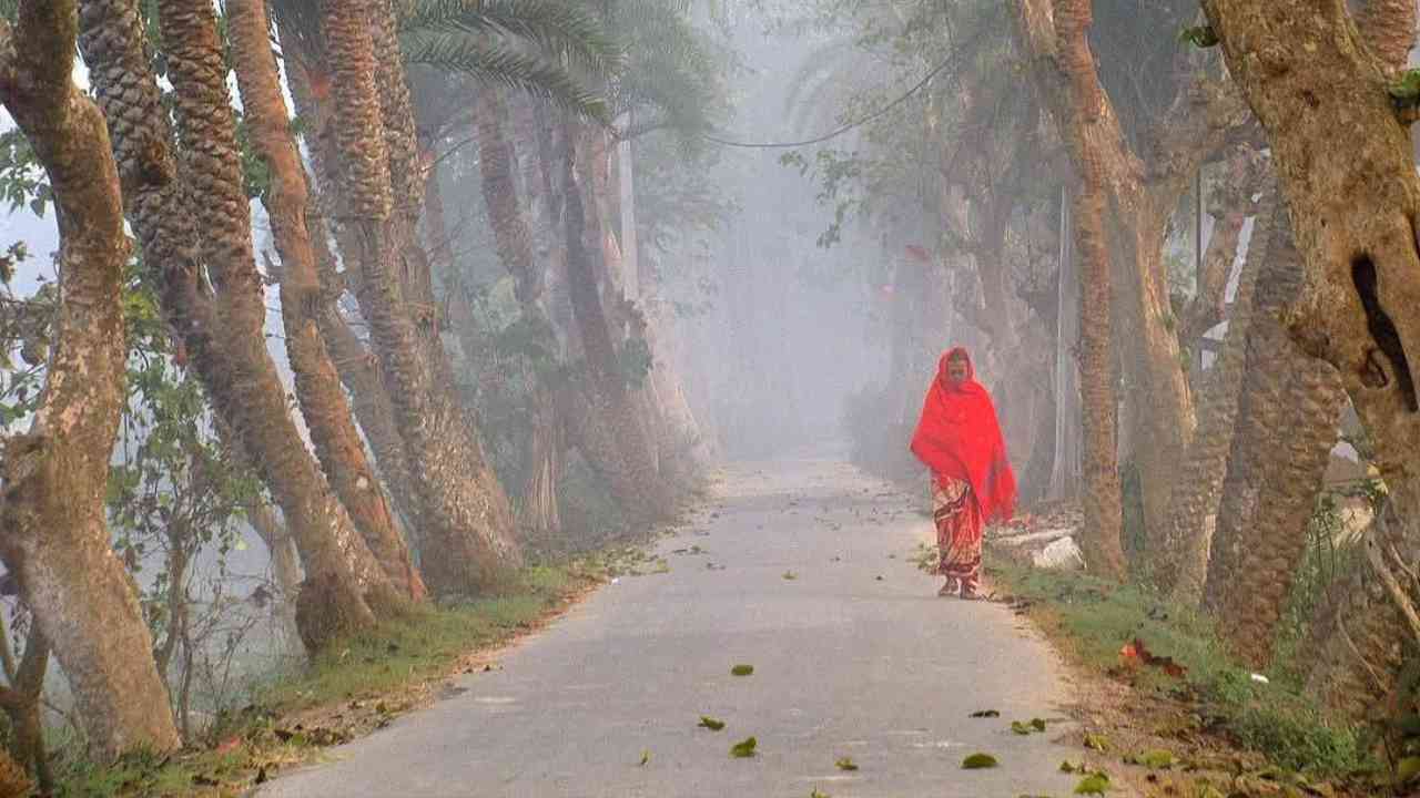 South Bengal winter