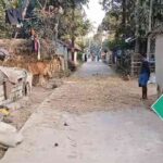 kamala village paschim medinipur