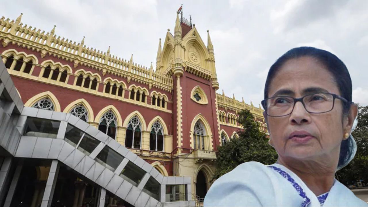 mamata high court