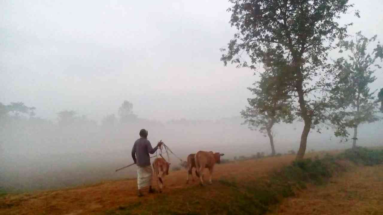 south bengal weather