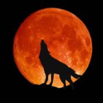all you need to know about wolf moon in january
