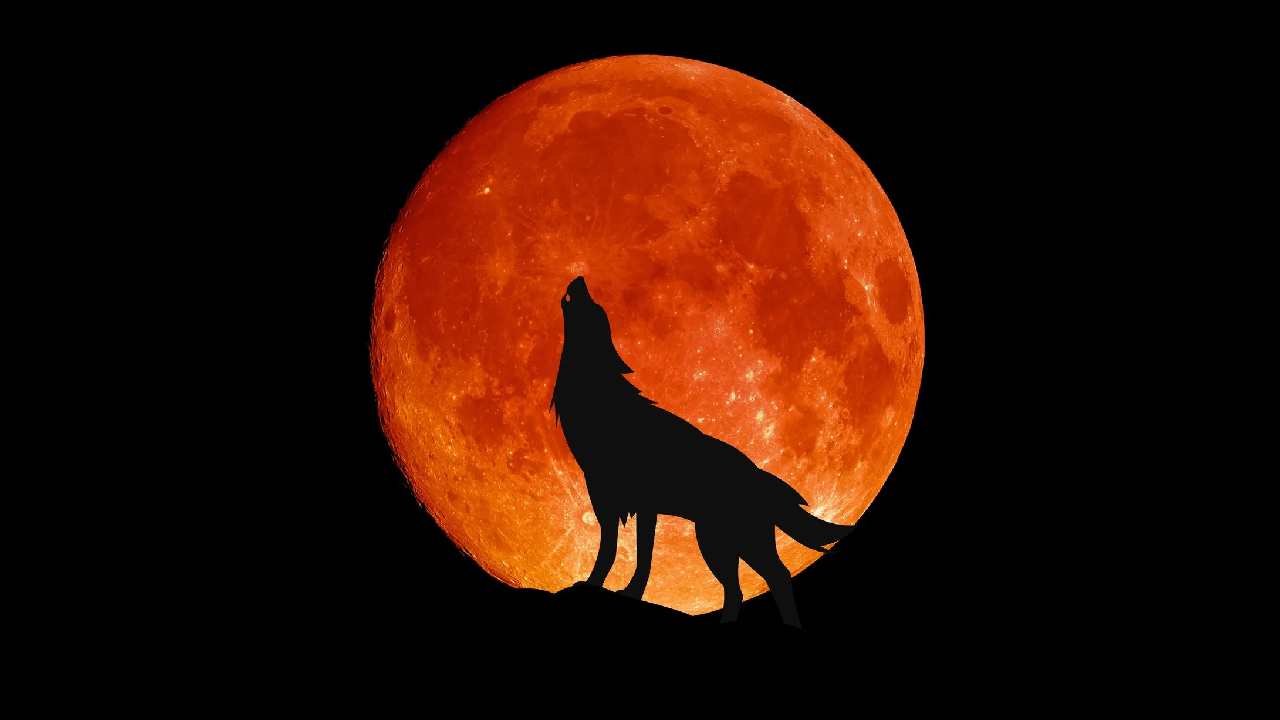 all you need to know about wolf moon in january