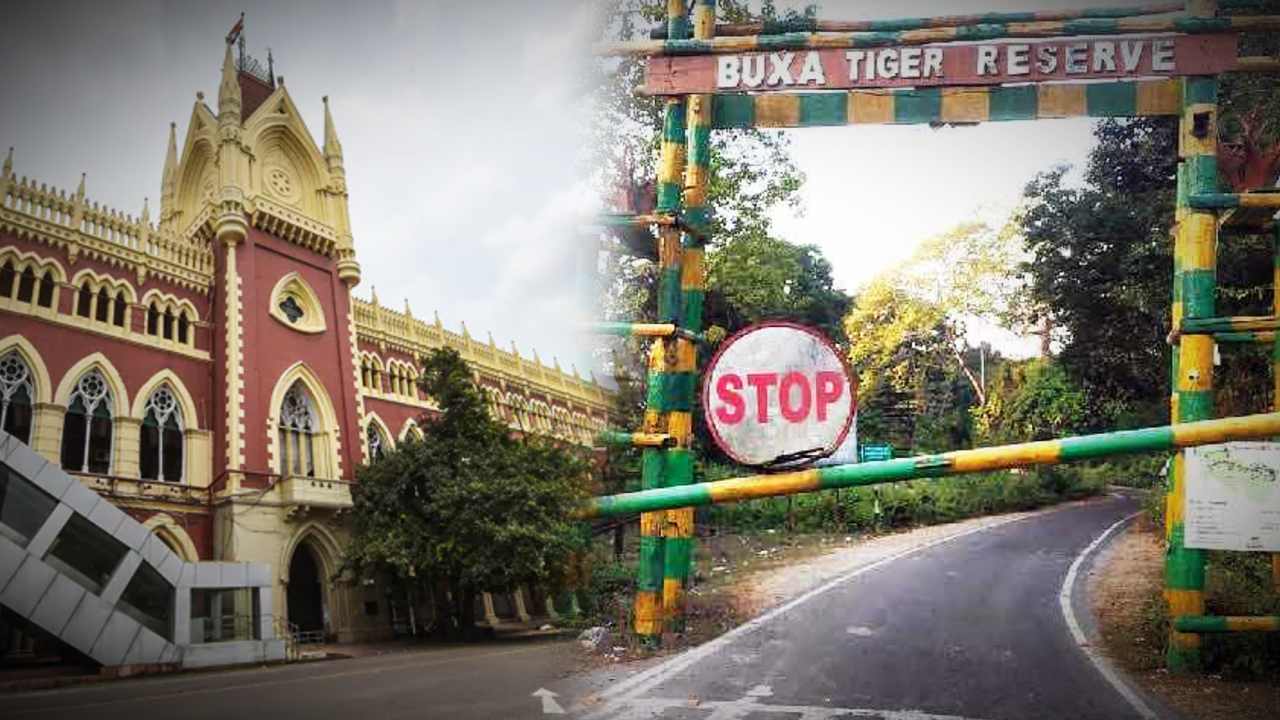 calcutta high court slams wb govt on buxa tiger reserve case